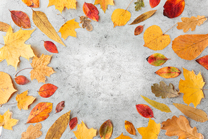 nature, season and botany concept - round frame of different dry fallen autumn leaves on gray stone background
