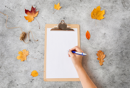 nature, season and botany concept - hand with pen and blank white paper on clipboard and autumn leaves on gray stone background