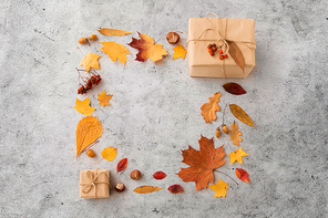 nature and season concept - frame of gift boxes packed into postal wrapping paper, autumn leaves, chestnuts, acorns and rowanberries on gray stone background