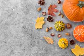 nature, season and botany concept - different dry fallen autumn leaves, chestnuts, acorns and pumpkins on gray stone background