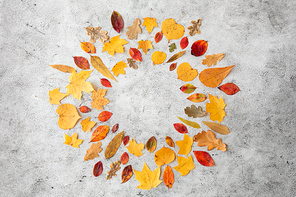 nature, season and botany concept - round frame of different dry fallen autumn leaves on gray stone background