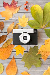 photography and season concept - film camera and autumn leaves on gray wooden boards background