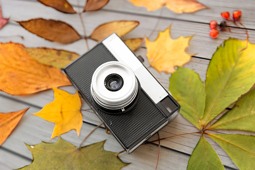 photography and season concept - film camera and autumn leaves on gray wooden boards background