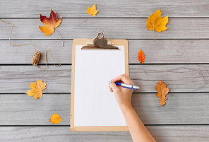 nature, season and botany concept - hand with pen and blank white paper on clipboard and autumn leaves on gray wooden boards background