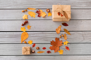 nature and season concept - frame of gift boxes packed into postal wrapping paper, autumn leaves, chestnuts, acorns and rowanberries on gray wooden boards background