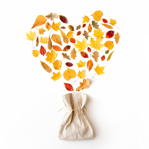 love, nature and season concept - composition of different dry fallen autumn leaves in shape of heart and linen bag on white background