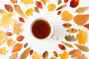seasonal drinks concept - cup of 홍차 with frame of different dry autumn leaves on white background