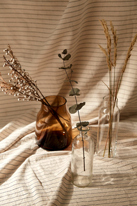 home improvement and decoration concept - still life of decorative dried flowers in glass vases and bottles with drapery