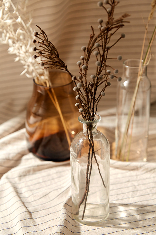 home improvement and decoration concept - still life of decorative dried flowers in glass vases and bottles with drapery