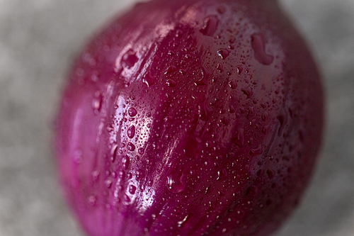 vegetable, food and culinary concept - close up of wet red onion