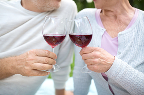old age, leisure and people concept - happy senior couple clinking wine glasses at summer park