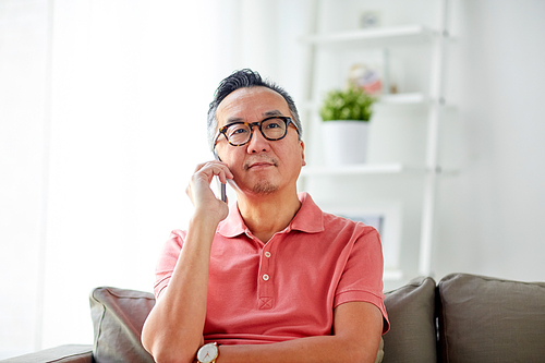 technology, people, lifestyle and communication concept - happy man sitting on sofa calling on smartphone at home