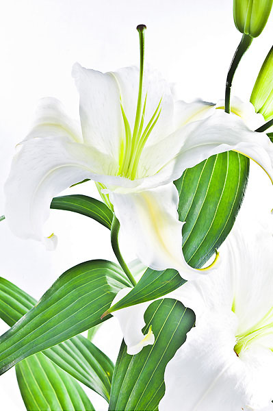 유토이미지 | 35010-0000002