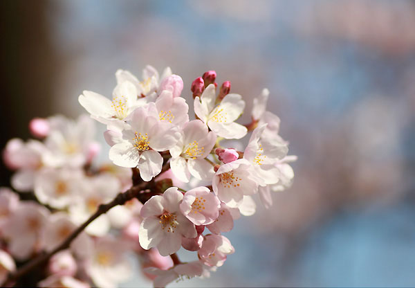 유토이미지 | 35600-0000005