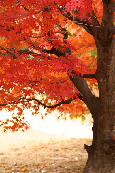 유토이미지 | 37275-0000002