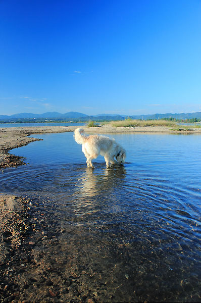 유토이미지 | 37447-0000343