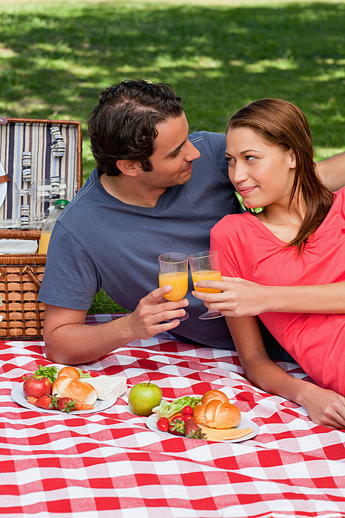 Two friends touching glasses while looking at each other during a picnic