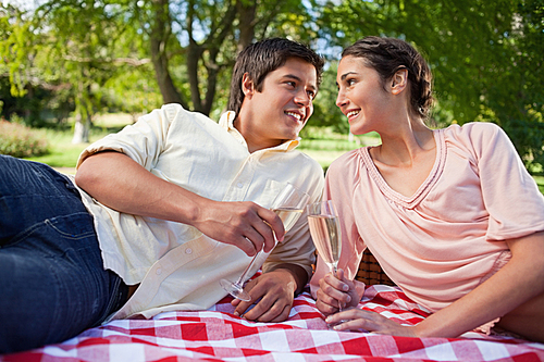 Two friends looking at each other while holding glasses during a picnic