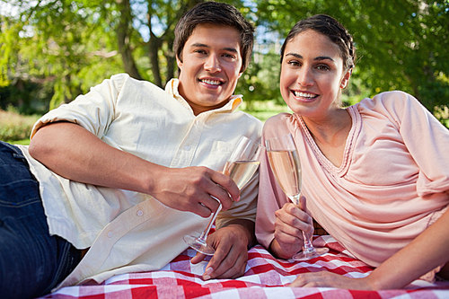 Man and his friend smiling while holding glasses during a picnic