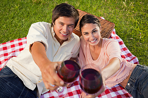 Two friends smiling as they touch their raised glasses during a picnic