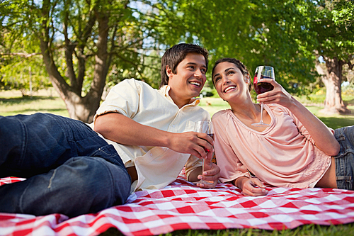 Two friends looking into the distance while holding glasses during a picnic