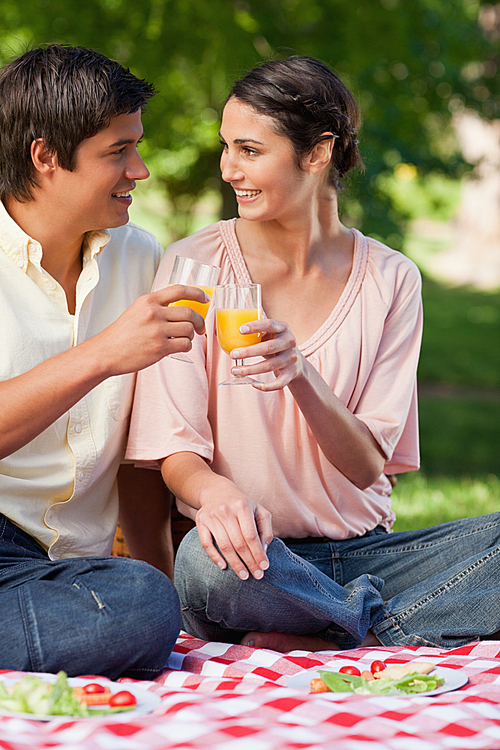 Two friends smiling while touching glasses of juice during a picnic