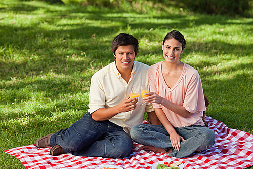 Two friends looking ahead while touching glasses during a picnic 