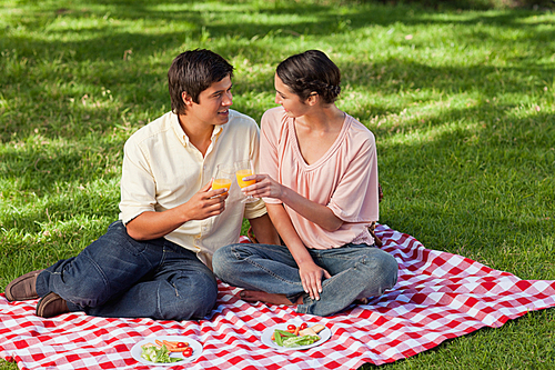 Two friends looking at each other while raising glasses during a picnic