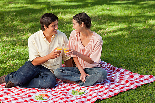 Two friends smiling while raising their glasses of juice during a picnic