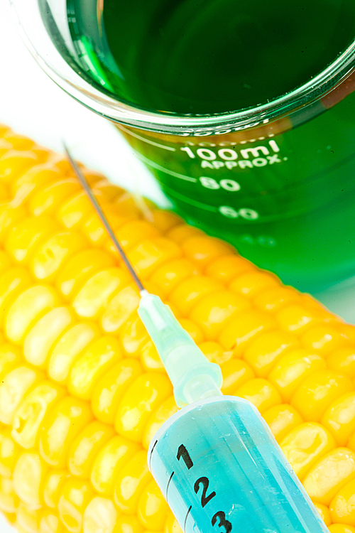 Corn next to a beaker