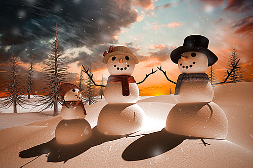 Composite image of snow family