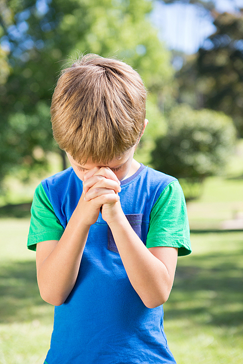 Little boy saying his prayers on a sunny day