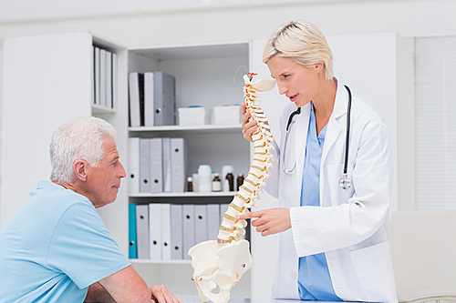 Female doctor explaining anatomical spine to senior man in clinic