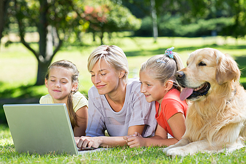 Happy family using laptop in the park on a sunny day