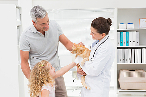 Veterinarian holding cat with its owners in medical office