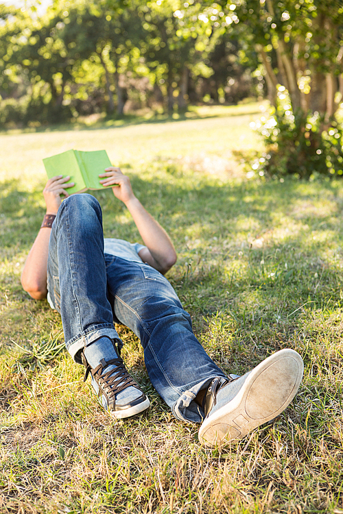 Young man reading book in the park on a summers day