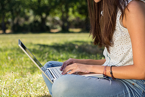 Pretty brunette using laptop in park on a summers day