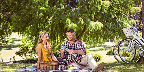 Couple having a picnic in the park on a sunny day