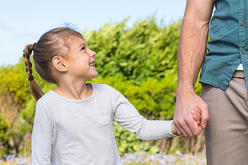 Father and daughter holding hands in the countryside