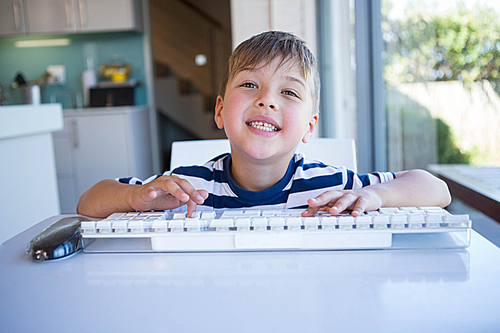 Little boy using computer in the living room at home