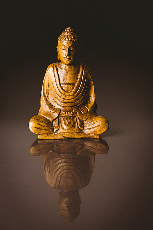 Wooden buddha statue shot in studio