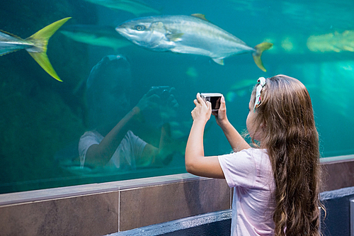 Little girl looking at fish tank at the aquarium