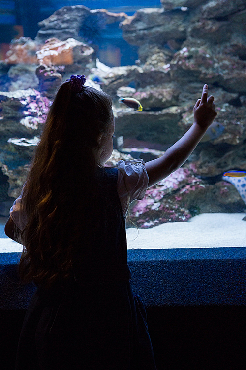 Little girl looking at fish tank at the aquarium