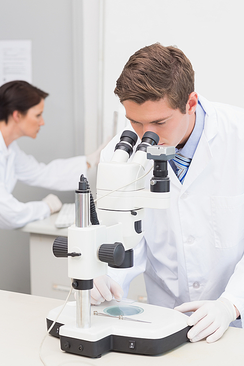 Scientists working with microscope and computer