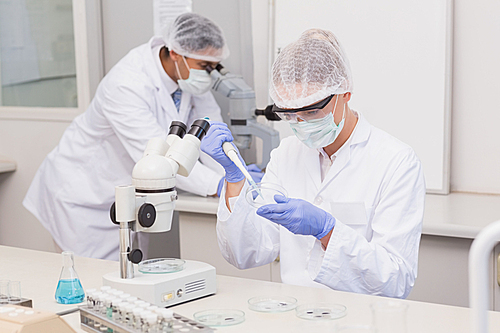 Scientist examining petri dish