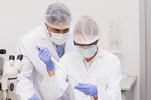 Scientist doing experiments in petri dish