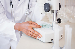 Scientist looking at petri dish under microscope