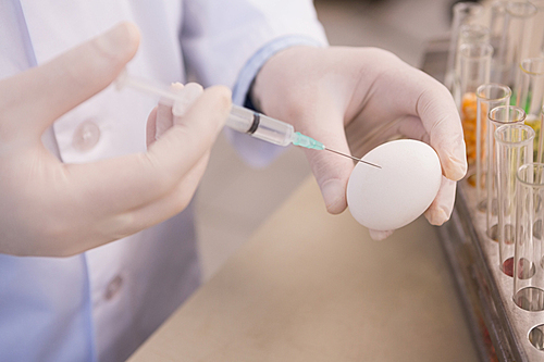 Food scientist examining an egg