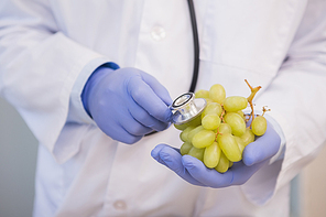 Scientist listening to grapes
