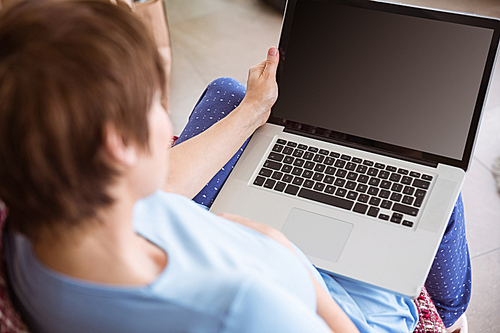 Pregnant woman using her laptop at home in the living room